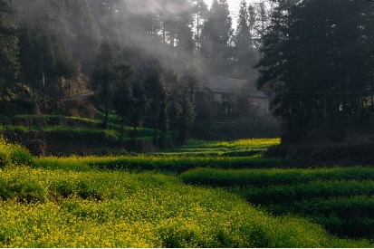 농지연금 지급방식 적용금리 및 지급정지사유