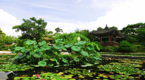 고양국제꽃박람회 입장료