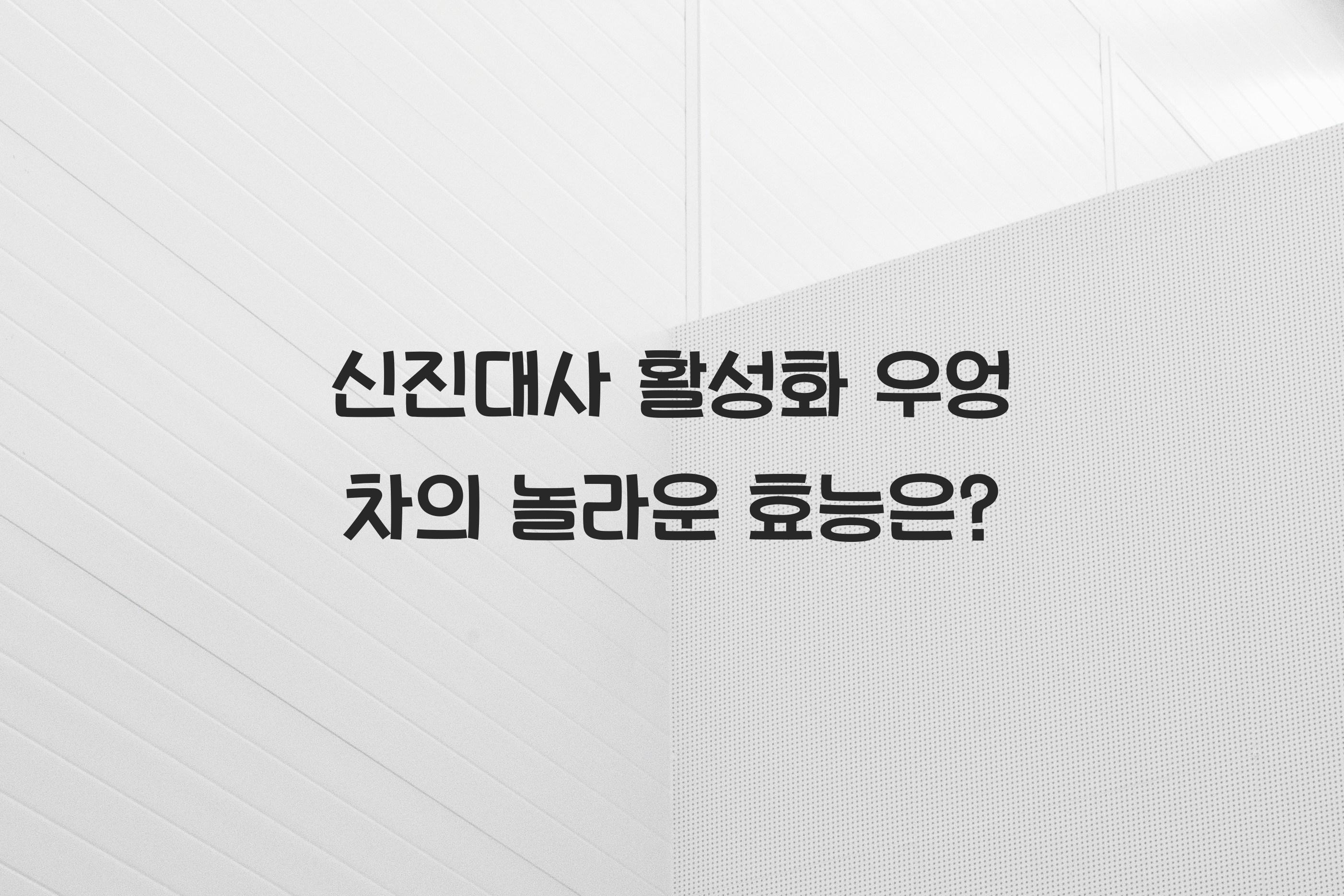 신진대사 활성화 우엉 차