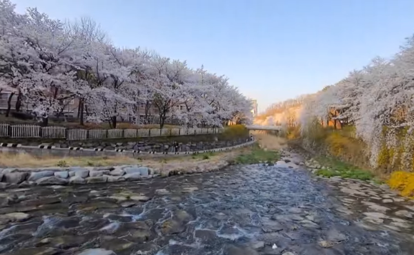 나만알고싶은여행지