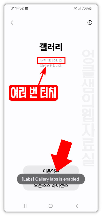 Gallery labs 켜기