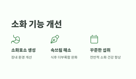 개복숭아효소의 효능 한눈에 보기 4