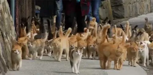&amp;quot;일본