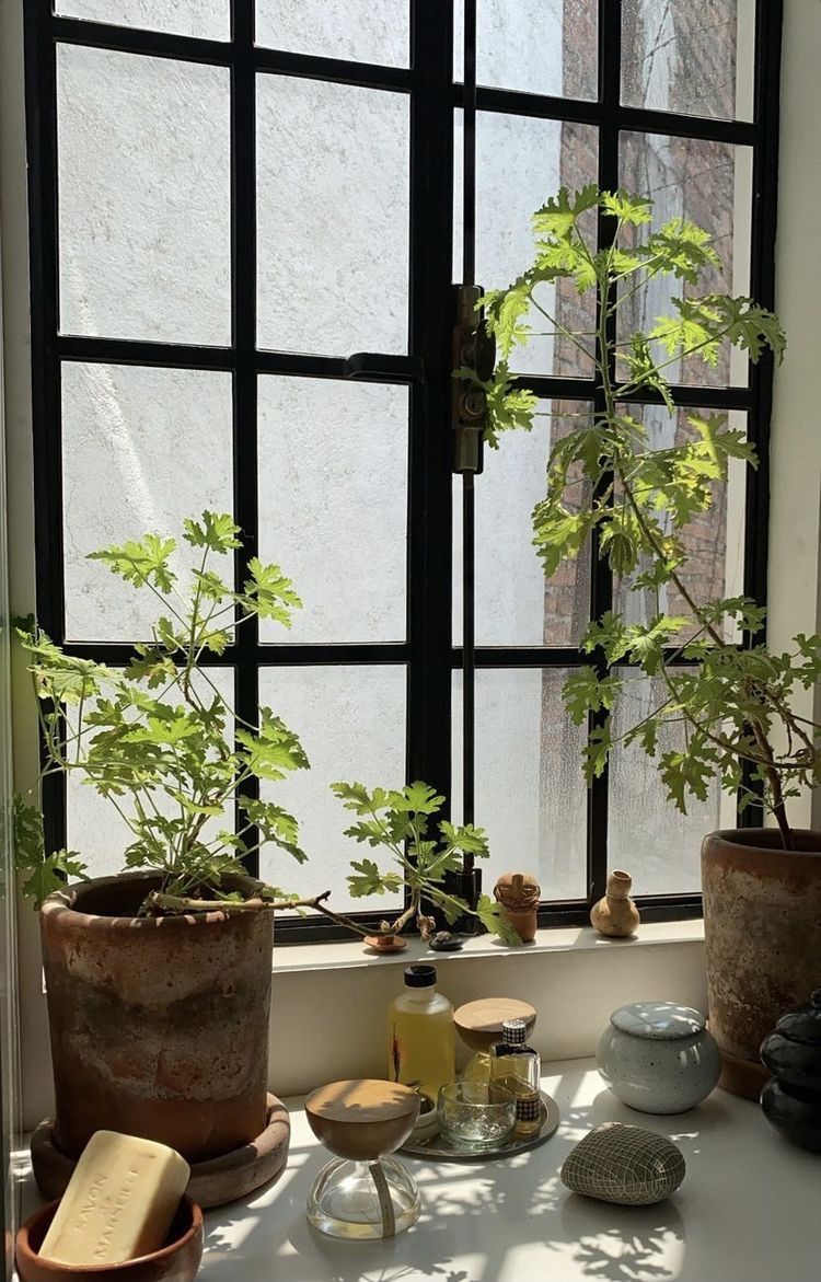 감성 화분 인테리어 신혼집 식물 꾸미기 팁