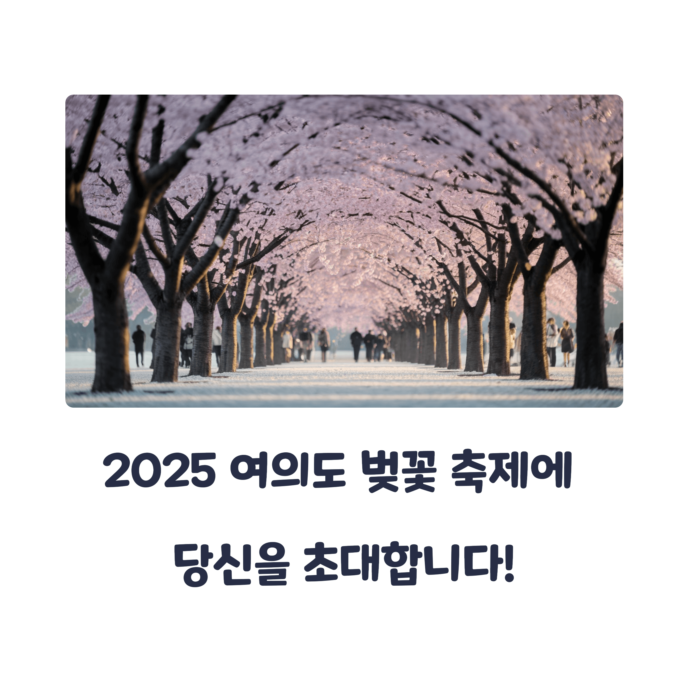 여의도 벚꽃 축제 2025 완벽 가이드: 드레스 코드부터 준비물