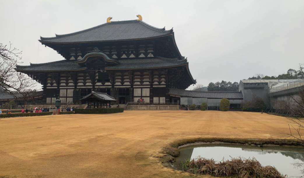 주요 혜택과 이용 가능한 명소 비교