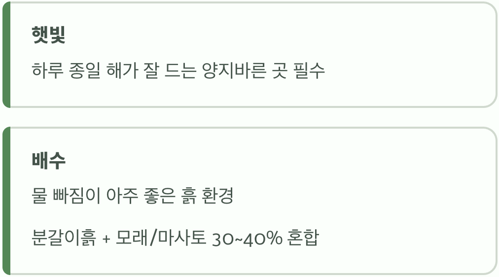 이 꽃이 가장 사랑하는 두 가지