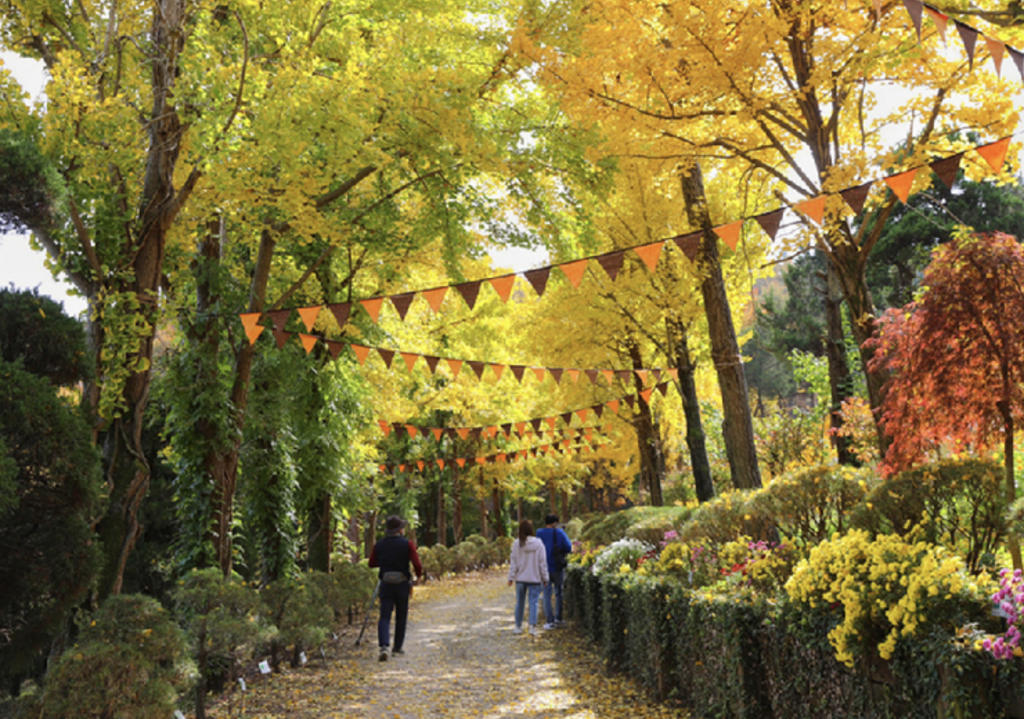 베어트리파크 단풍축제