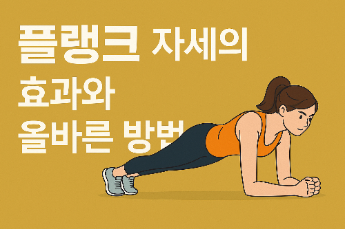 플랭크1