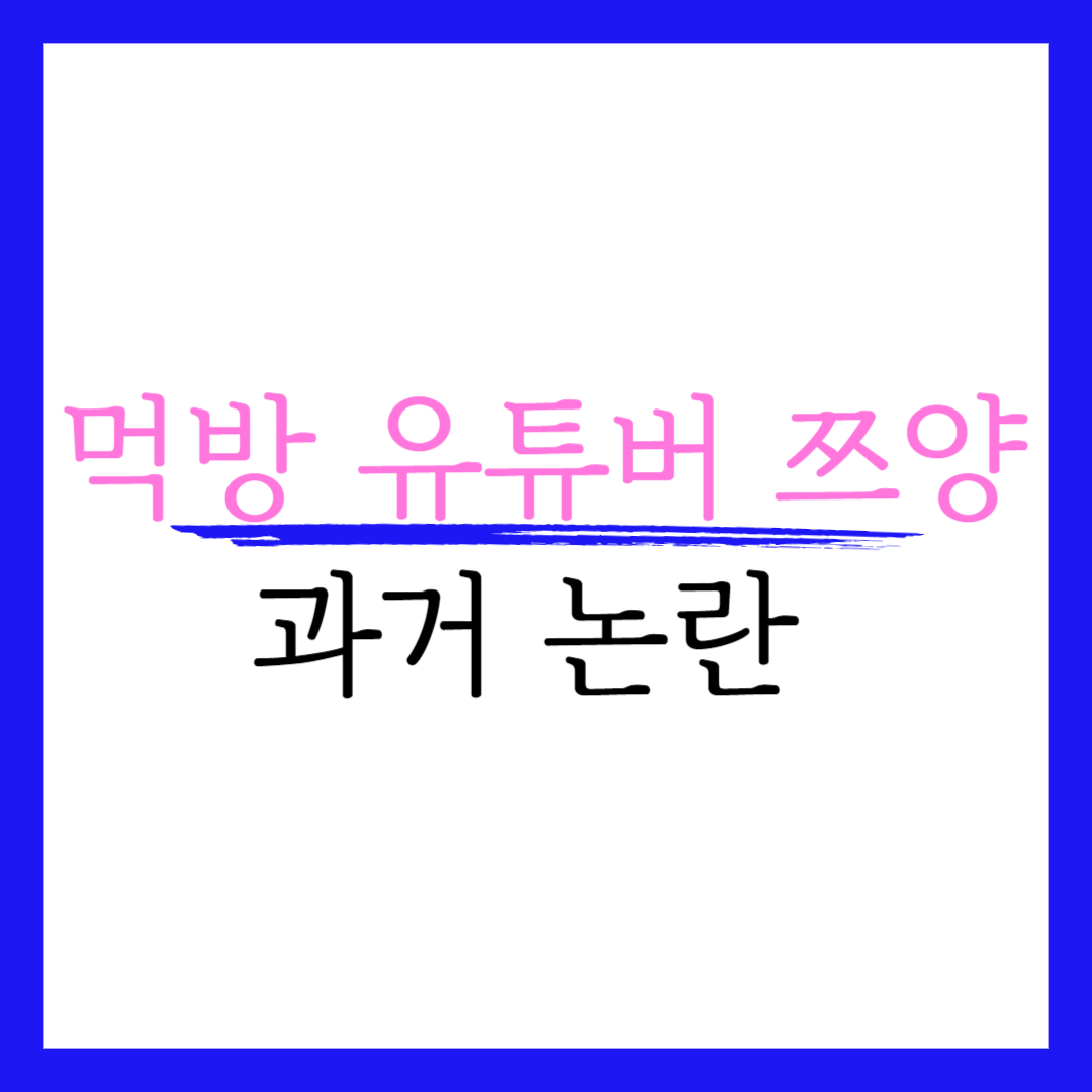 쯔양 과거 사진 가세 연 수입 남친