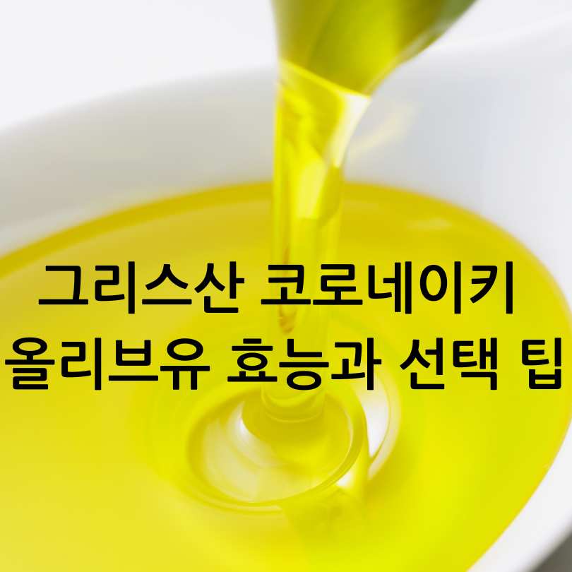 그리스산 코로네이키 올리브유 효능과 선택 팁
