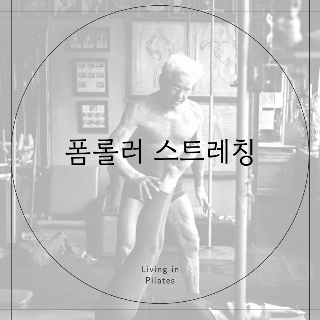 폼롤러 스트레칭