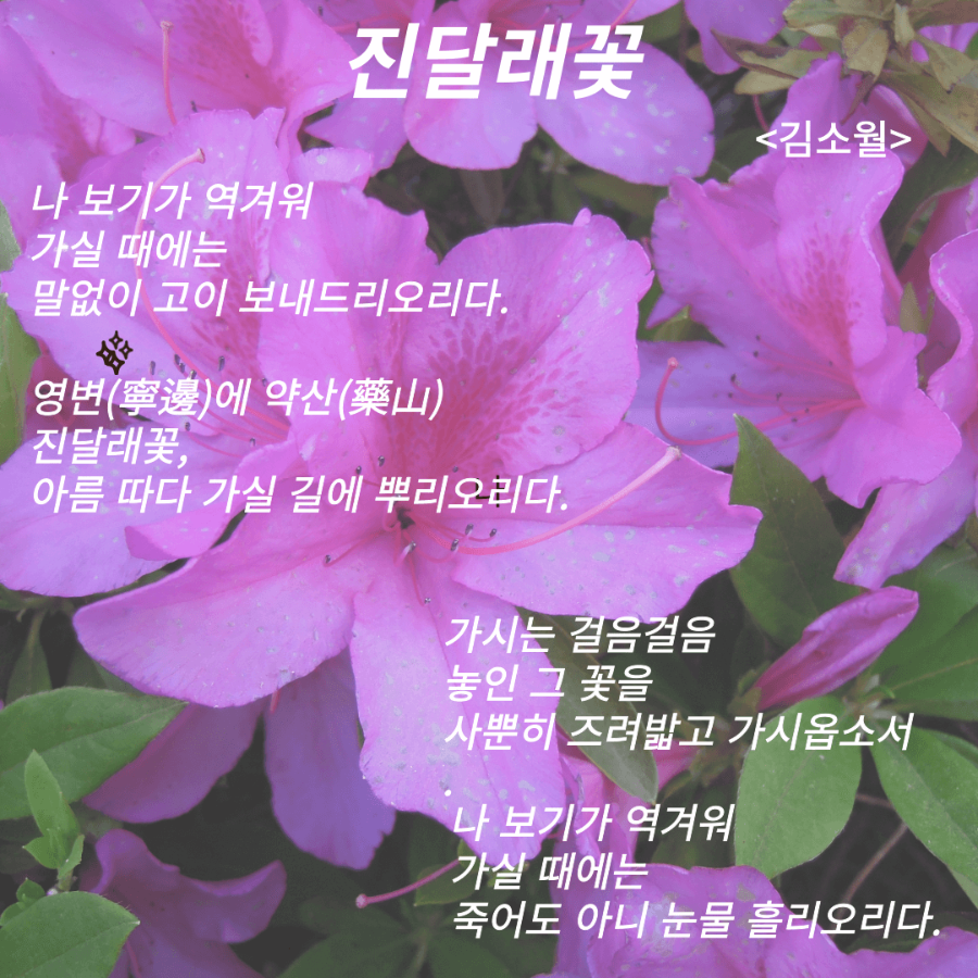 진달래꽃 &lt;김소월&gt;