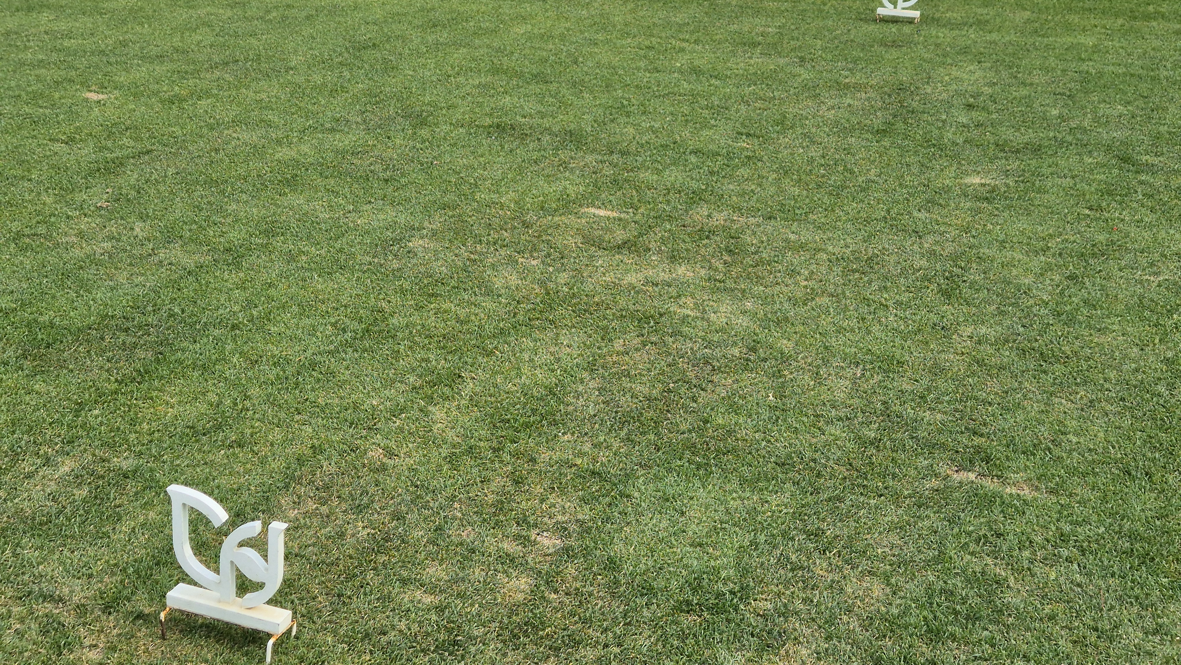 파인리즈cc 라운드 후기