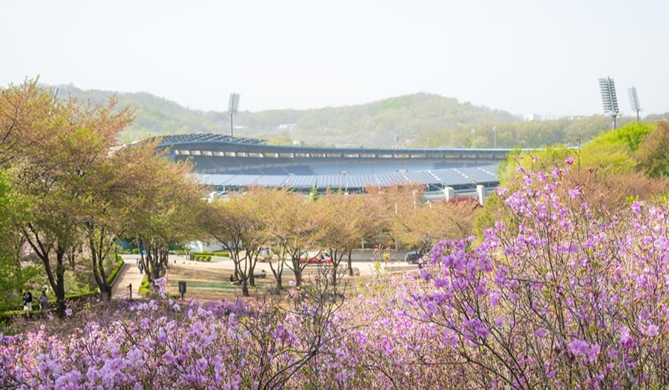 [3,4월 축제]원미산 진달래축제❘진달래 동산 3월, 4월 방문 후기