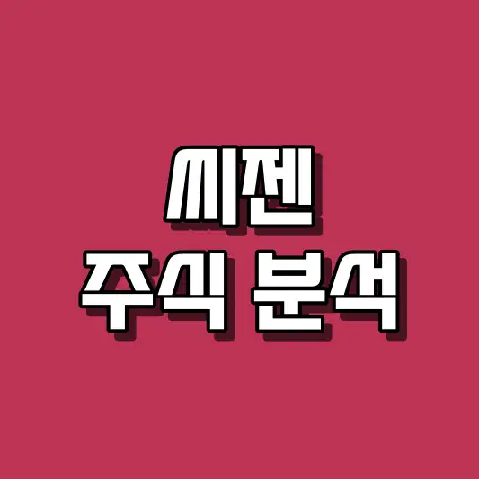 씨젠 주식 분석