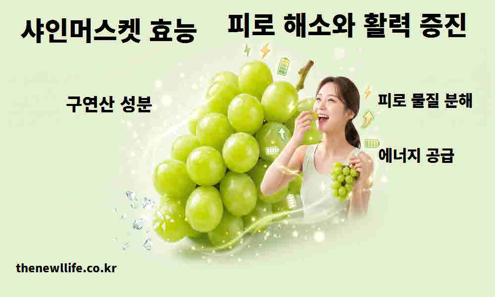샤인머스켓 효능 피로 해소 활력 증진