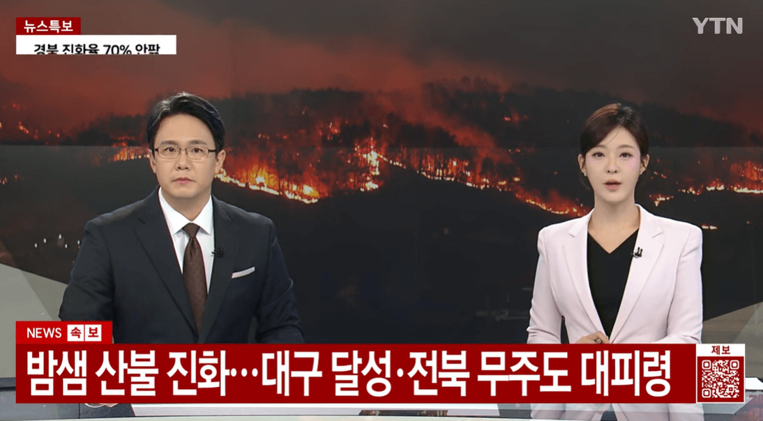뉴스 속보