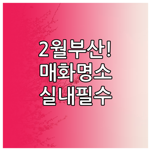 2월 부산 여행 추천 코스 매화 명소..