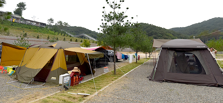 생생정보 마리오카트 눈썰매장 사랑이뭐길래 임진강 연천 알멕스랜드 정보