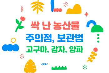 싹 난 농산물의 먹는법&#44; 보관법&#44; 영양 및 효능