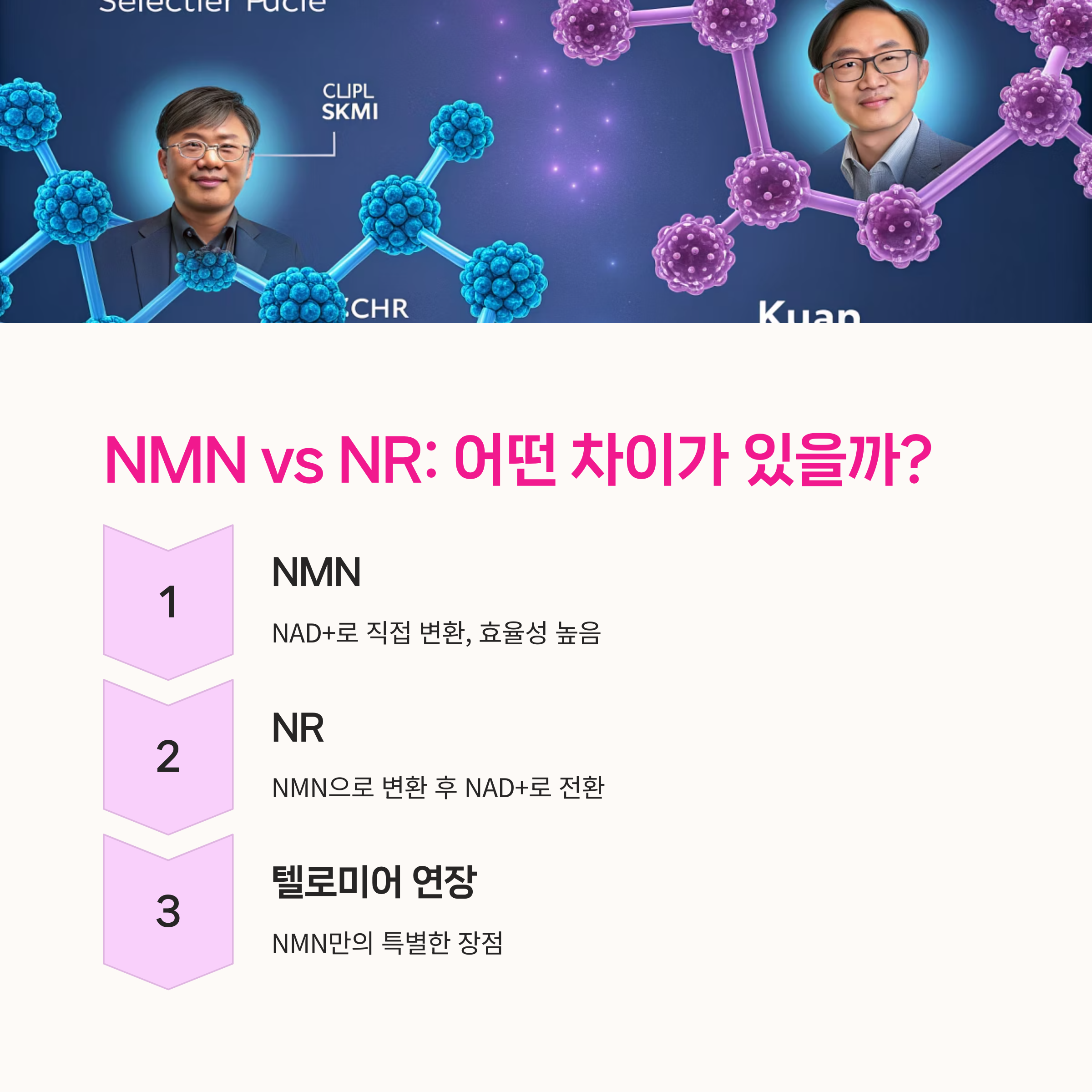 에너지대사, 인슐린감수성,