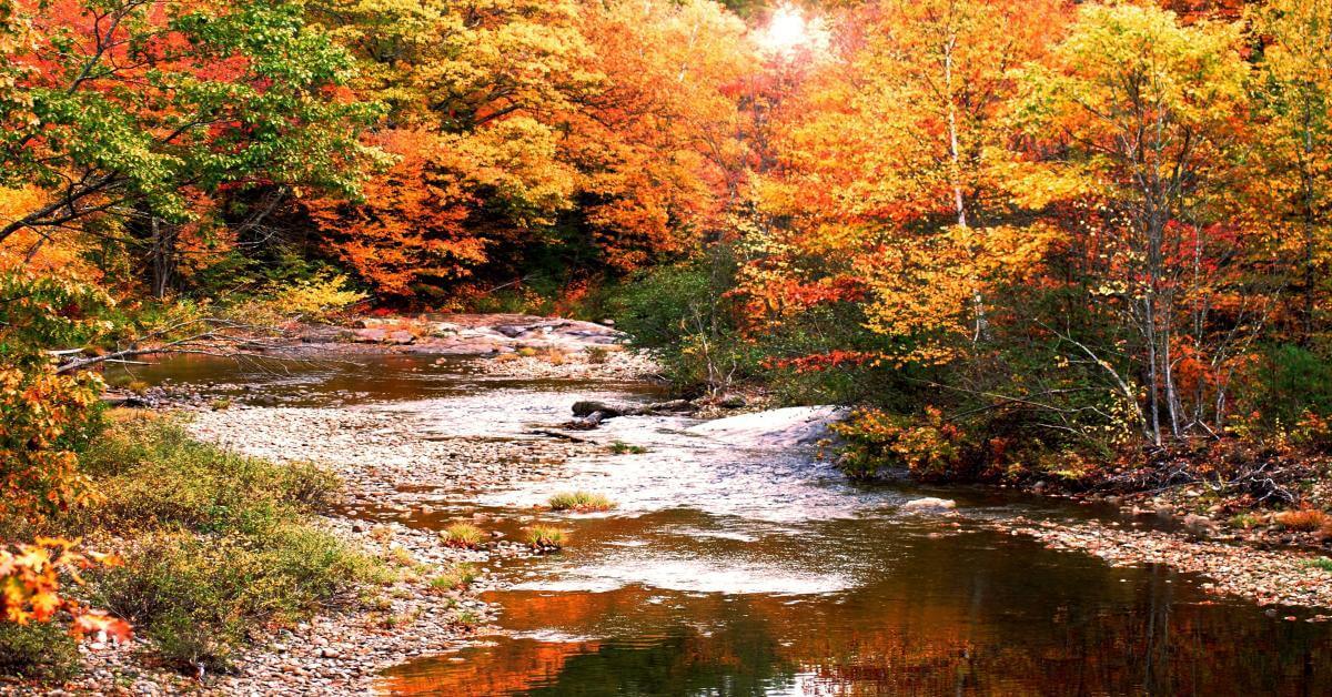 2024 설악산 단풍축제: 가을의 아름다움을 만끽하는 방법 🍂