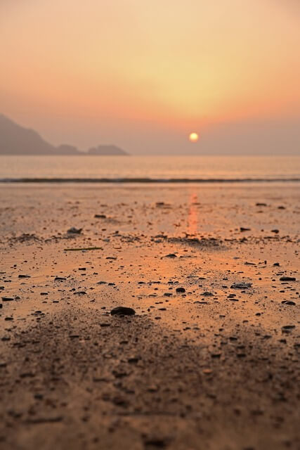 2025 홍성 남당항 대하축제 일정·장소·꿀팁