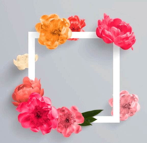 네모난 하얀 액자에 커다란 꽃들이 달려있다. 노란색 꽃, 붉은색 꽃, 하얀색 꽃이다.