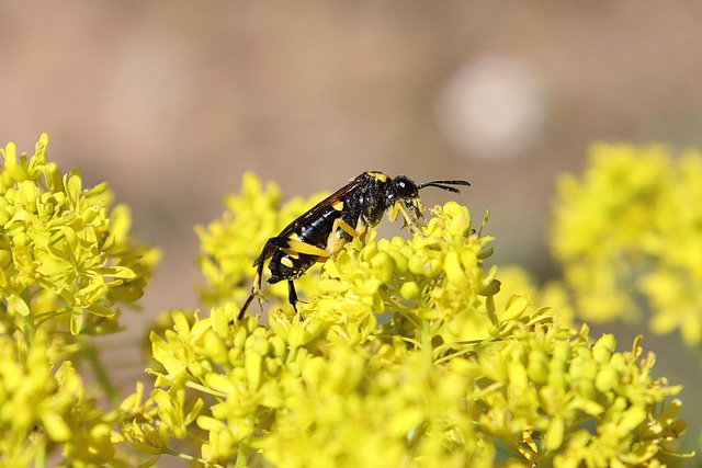 KB저축은행 kiwi신용대출 1