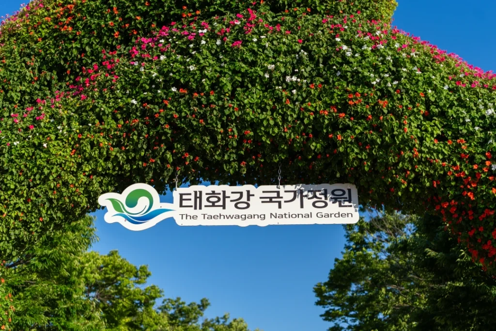 울산 사일런트 디스코 콘서트 후기