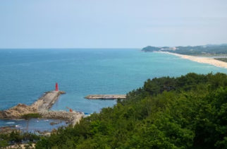 2026 나는 절로 낙산사 프로그램&amp;#44; 가는 길&middot;입장료&middot;주차장 확인