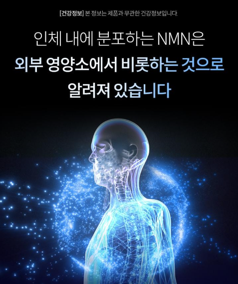 효모NMN 여에스더 NMN