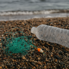 바닷가에 버려진 낚시줄과 플라스틱 쓰레기가 걸려 있는 모습으로, 해안가 환경오염과 낚시 쓰레기의 문제를 보여주는 사진.