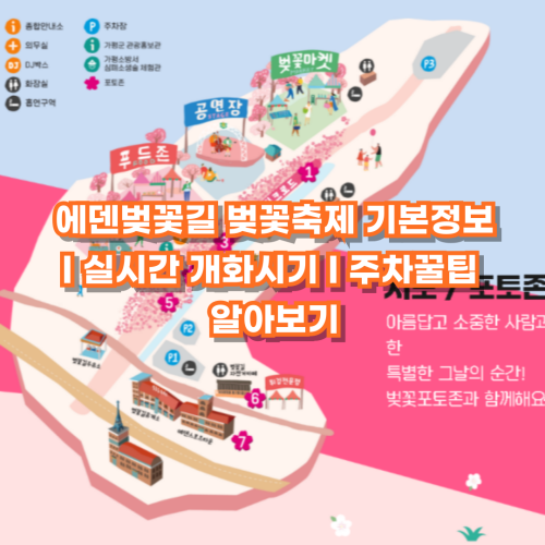 에덴벚꽃길-벚꽃축제-기본정보-실시간-개화시기-주차꿀팁