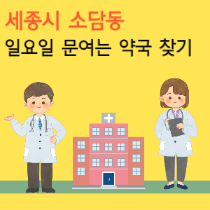 세종시 소담동 일요일 문여는 약국 찾기