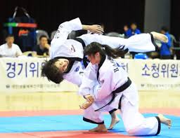 태껸과 합기도 비교