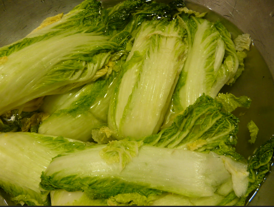 김치가 물러지는 이유