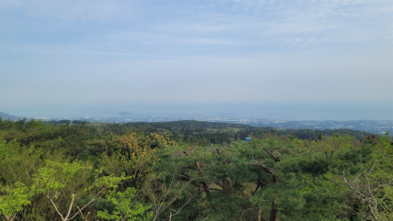 제주 강정포구 사진