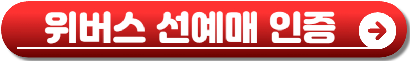 르세라핌 콘서트