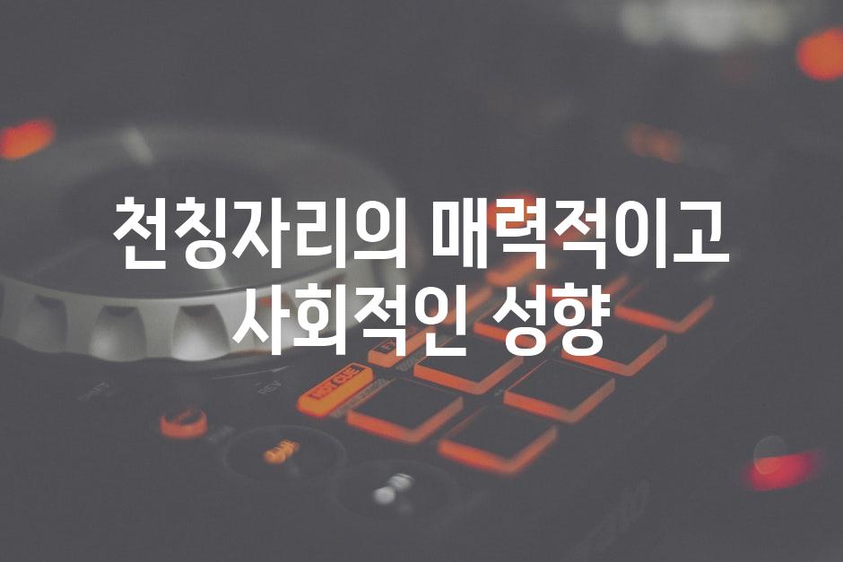 천칭자리의 매력적이고 사회적인 성향