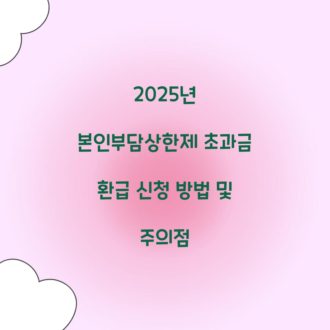 2025년 본인부담상한제 초과금 환급