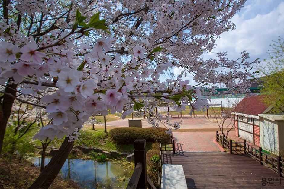 기흥호수공원 반려동물놀이터