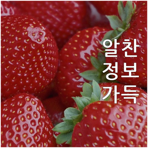 롯데시네마 혜택 극대화: 현대카드 M..