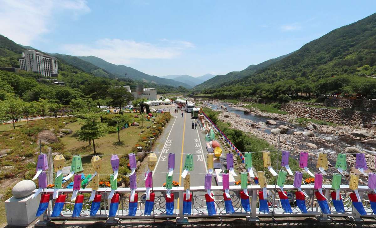 [5월 축제]2025 하동야생차문화축제❘기간, 일정, 체험 프로그램, 공연 정리