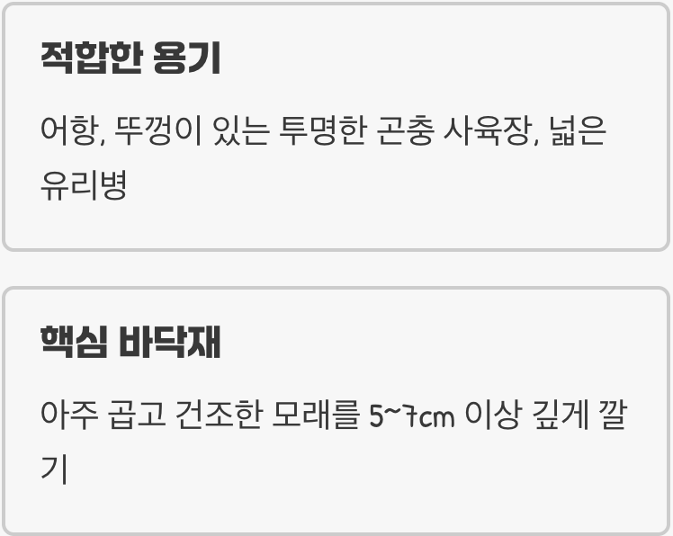 사육장 - '모래 함정'을 위한 완벽한 무대