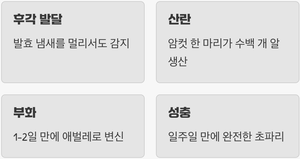 적을 알아야 이긴다, 녀석들의 탄생 비밀