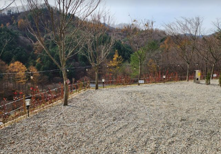 집 밖으로 캠핑장 H공간