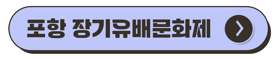 경북 축제