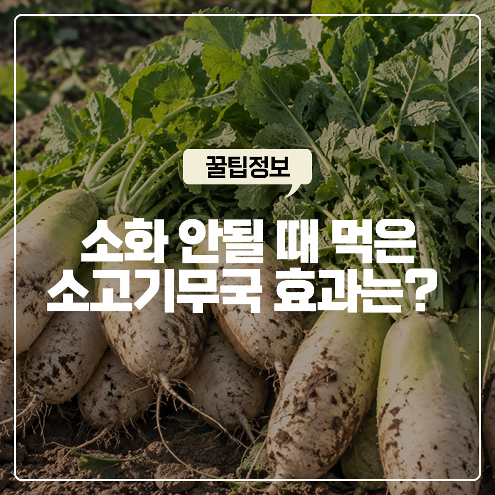 소화 안 될 때 먹은 소고기무국 효과 0인 이유 천연 효소 디아스타아제 파괴 온도